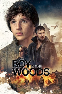 watch The Boy in the Woods movies free online