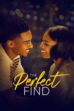 watch The Perfect Find movies free online